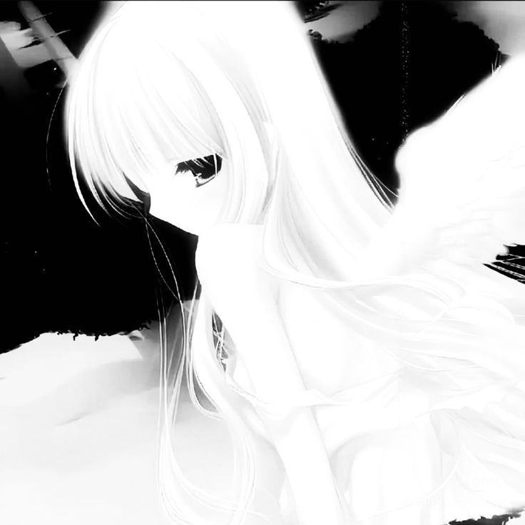 S4SH1CS2