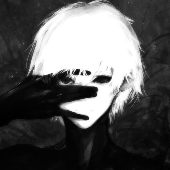 xeedo