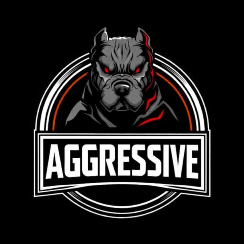 AgresywnY_