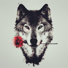 WolfGamesP4F