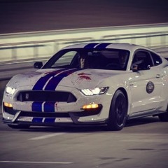 Stang_