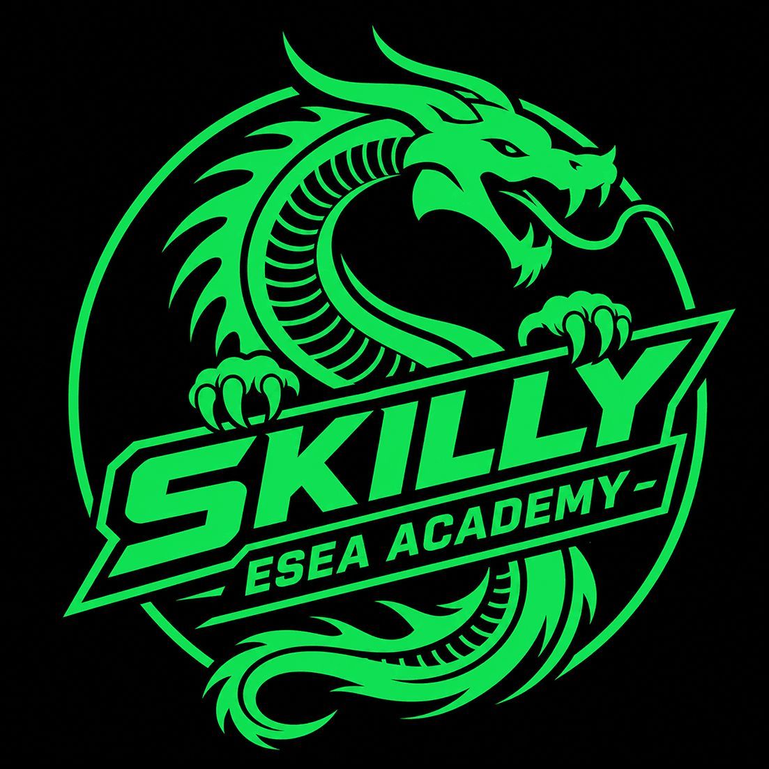Skilly Academy