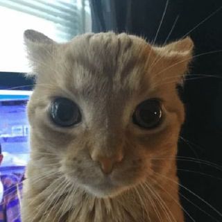 ImSilverAwpr
