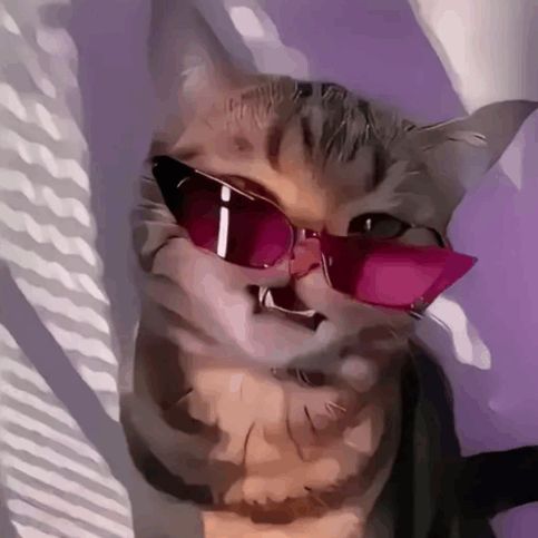 shiiizaaa