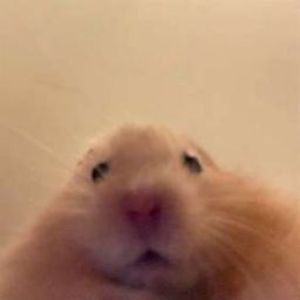 Thompie