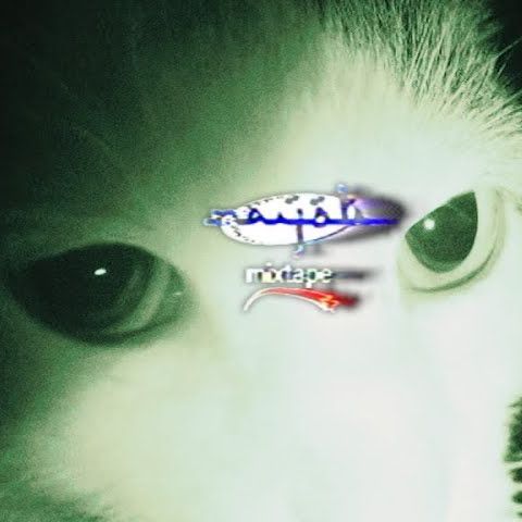 a30nn