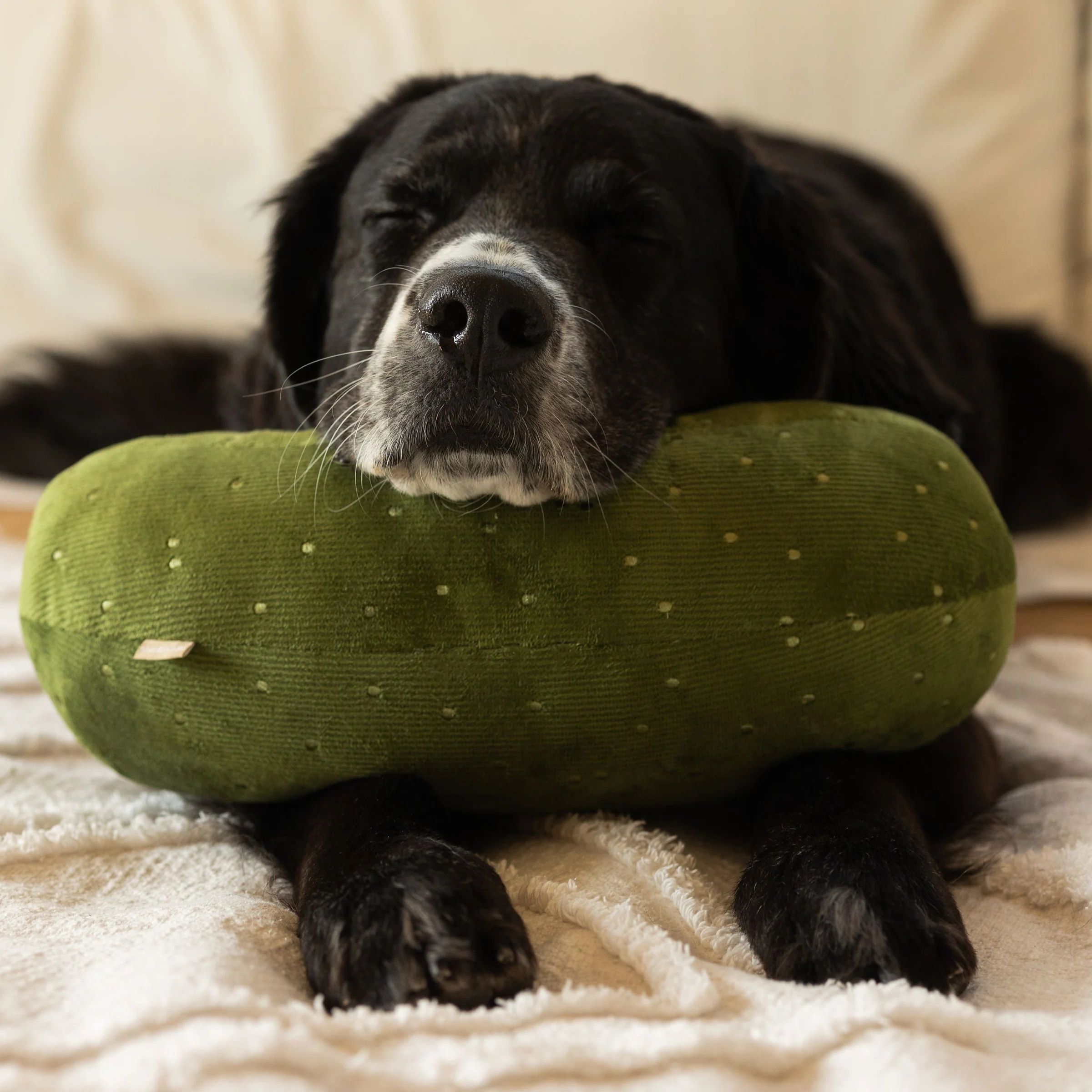 PICKLES