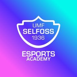 Selfoss Academy