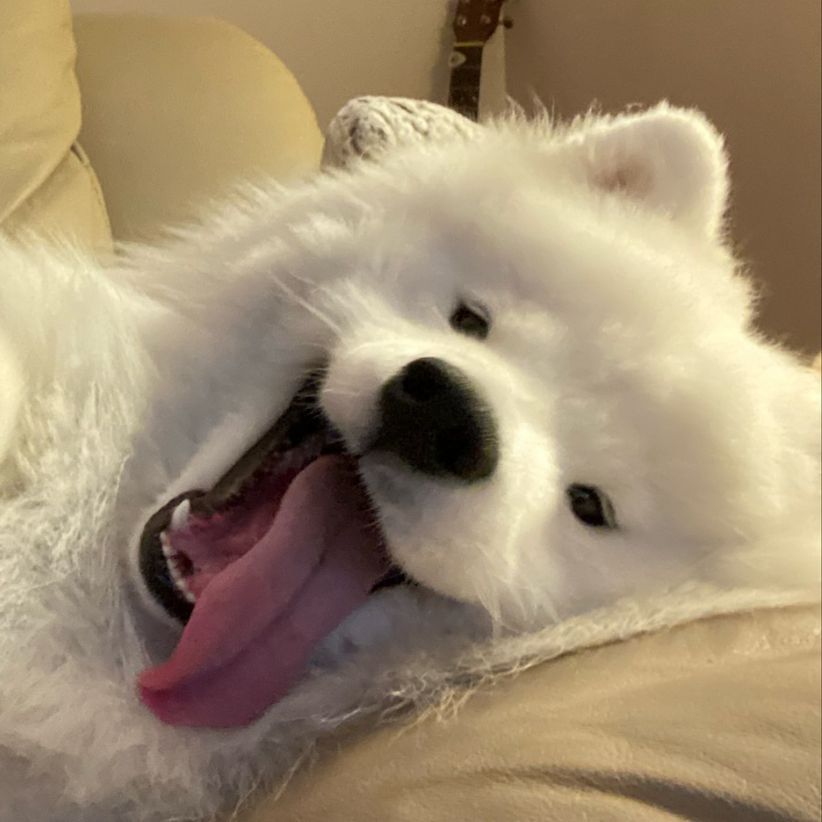 BaII