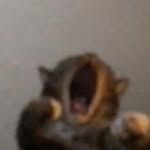 fug