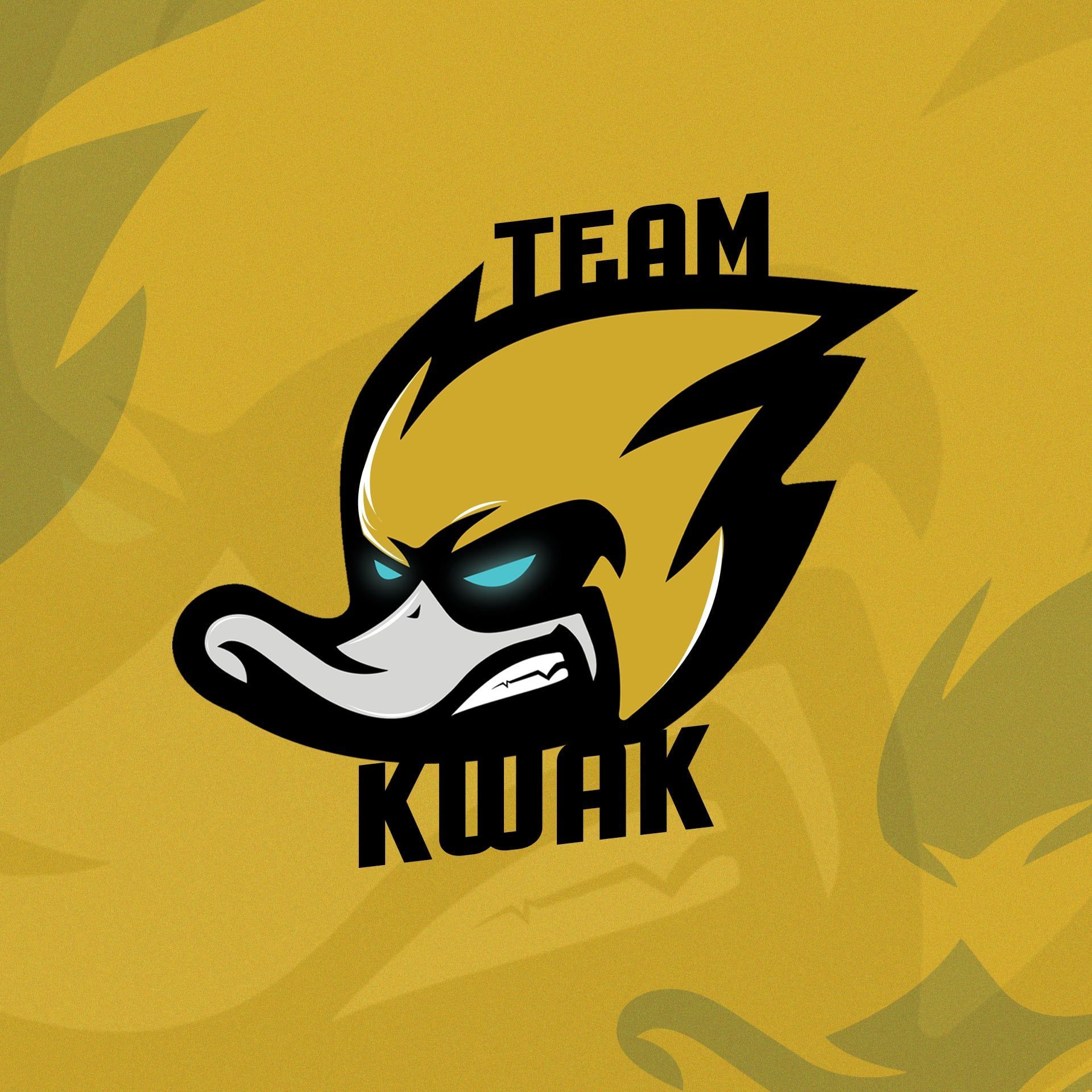 TeamKwak