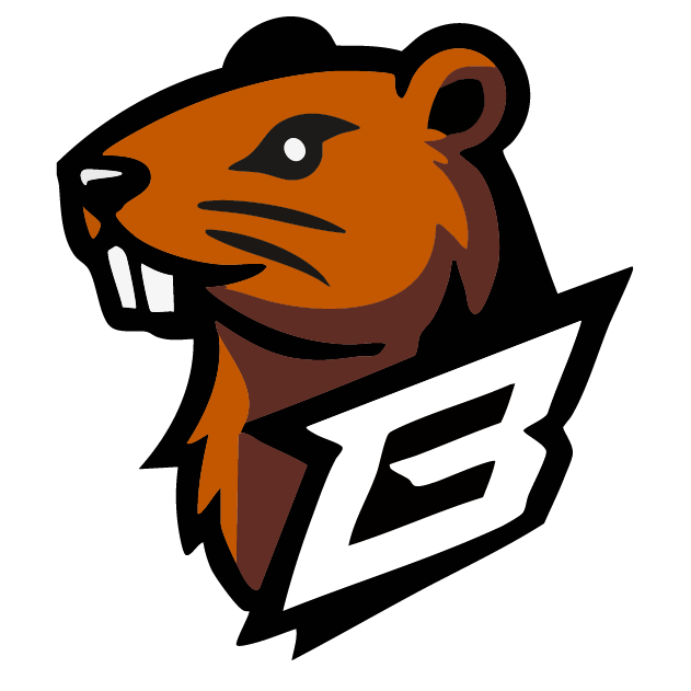 BÓBR Esports
