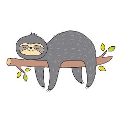 sloth