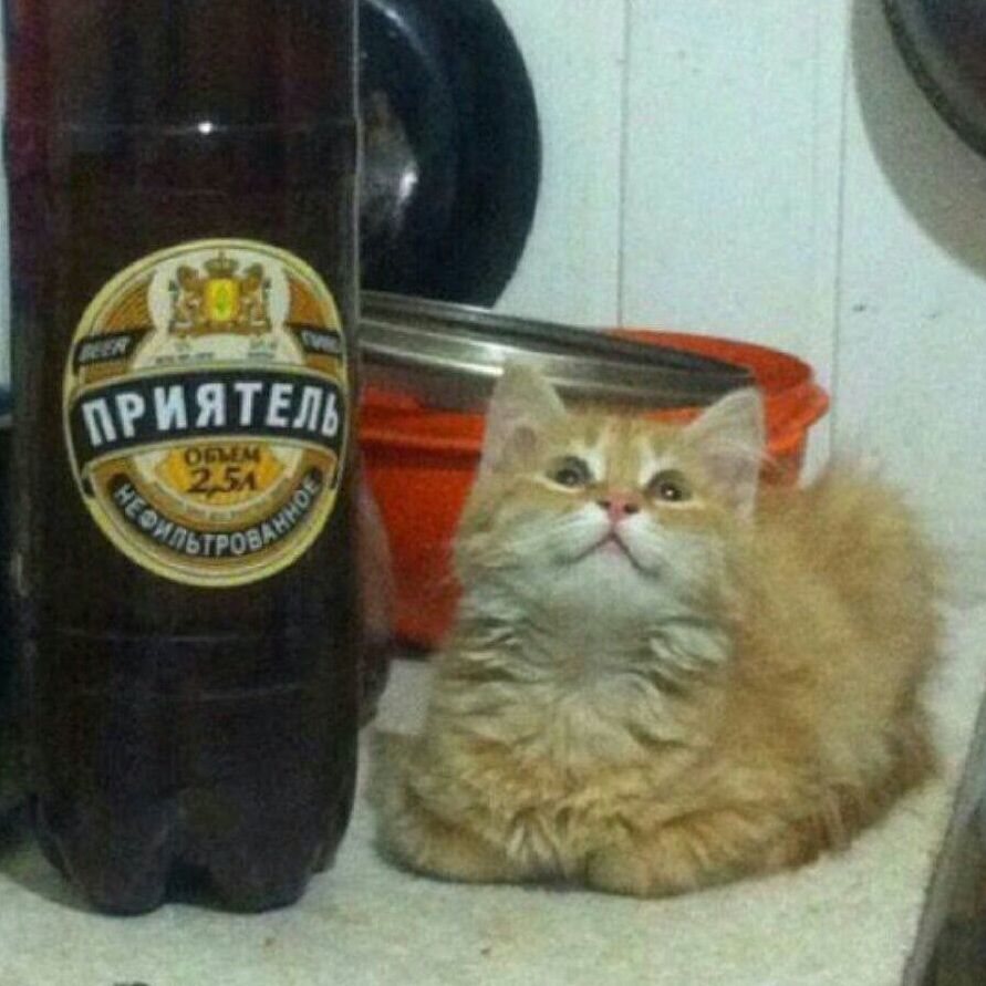 HARUUKAA