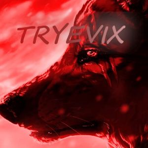 team_TryEvix