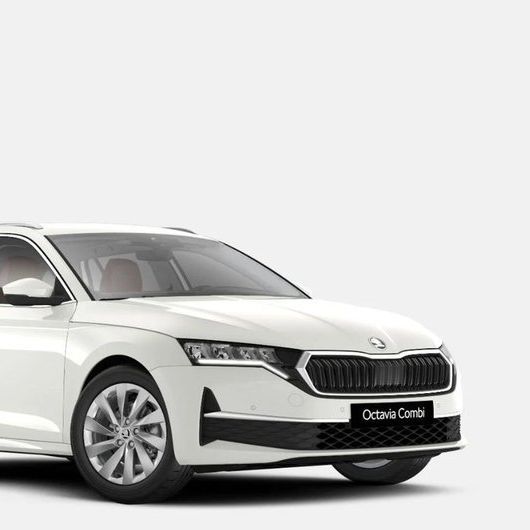 Skoda-Nacho