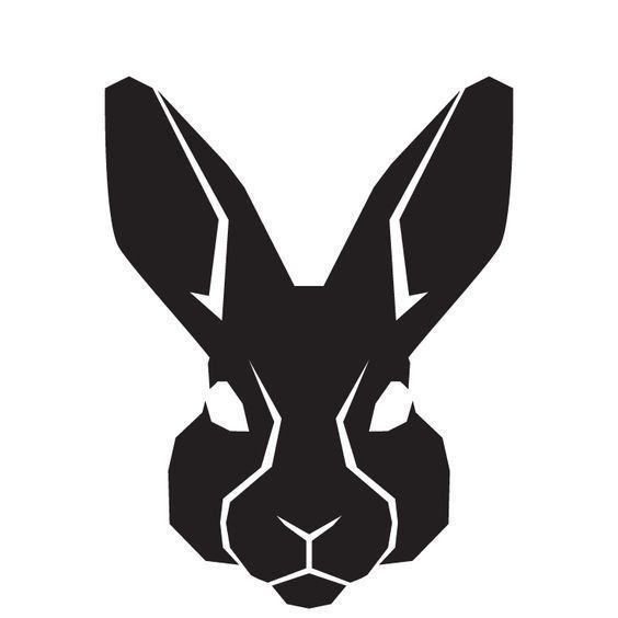 Team HARES
