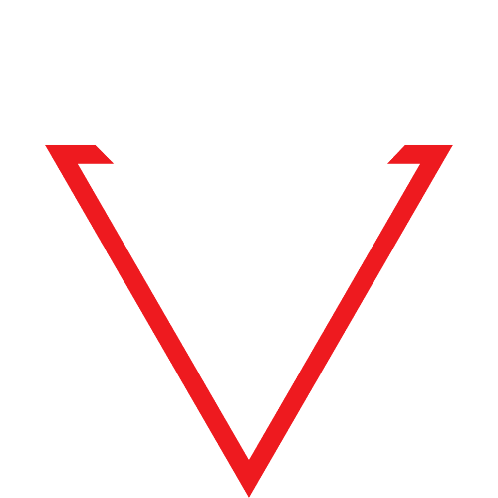 SNOGARD Dragons