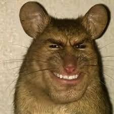 RatLovva