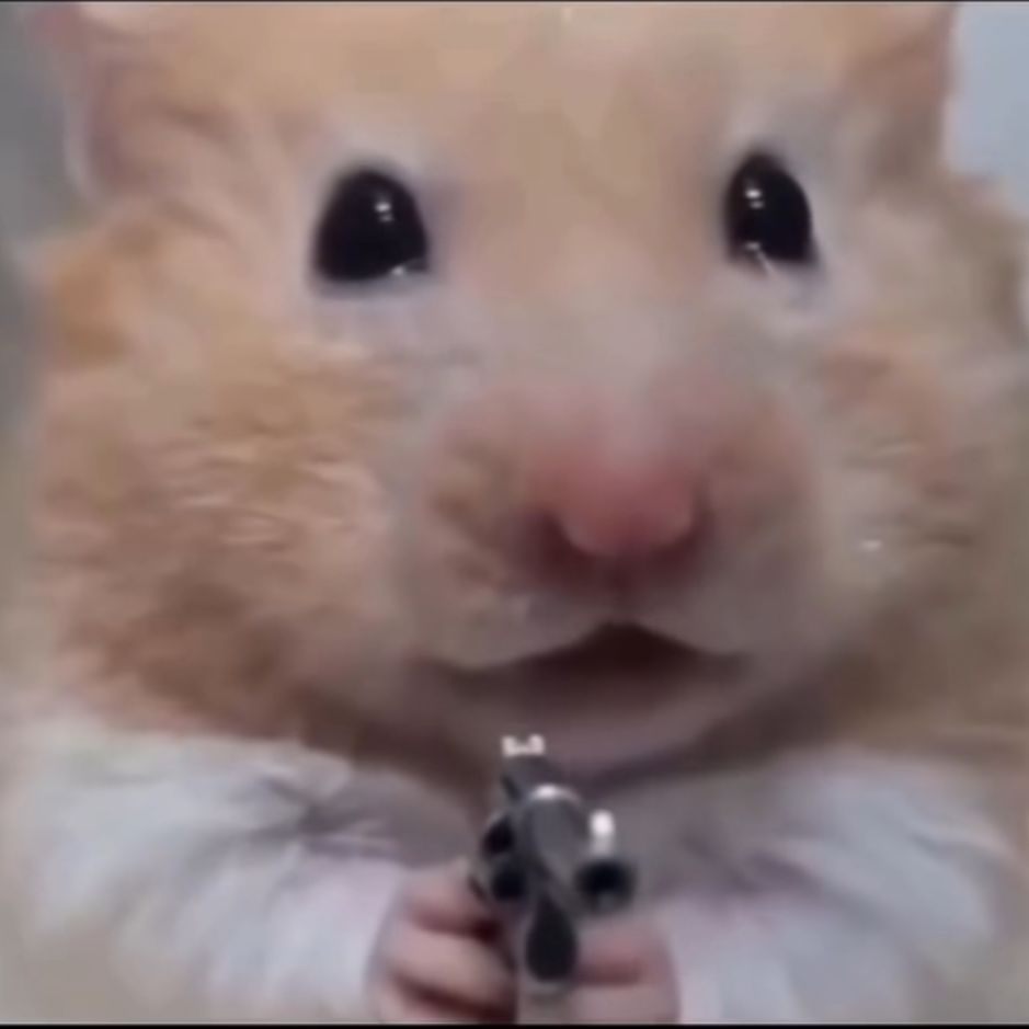 w3ys