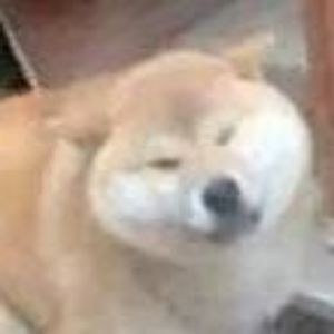 oopee