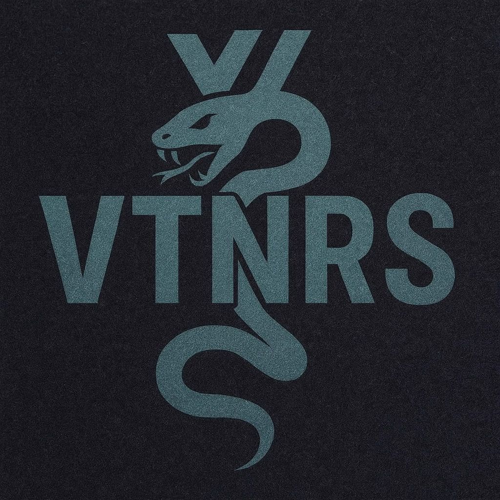 vedernikov team
