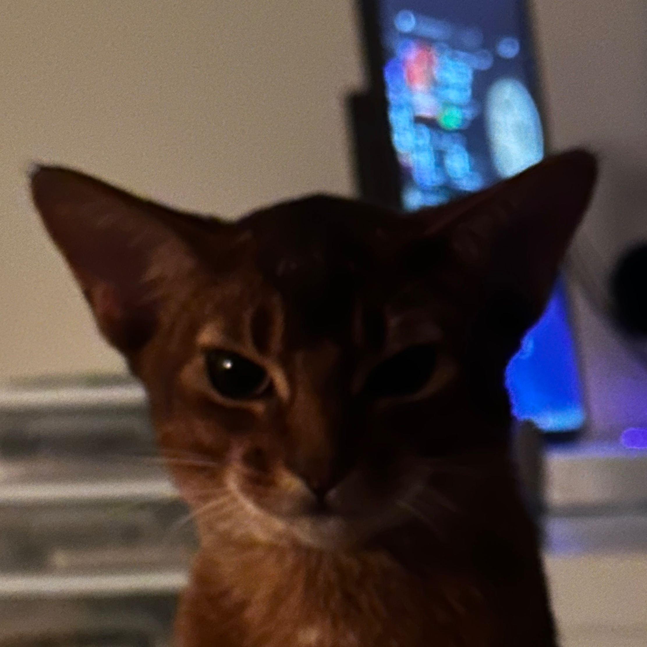 uro