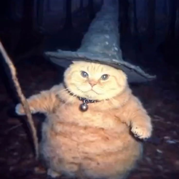 CritonRed