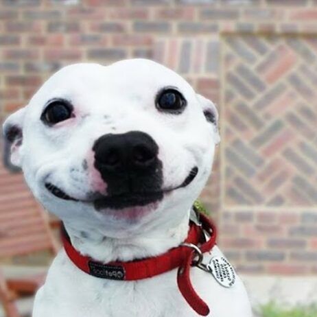 SIBERCHIX
