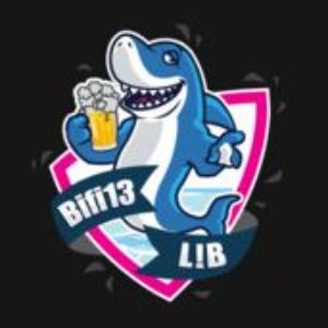 Bifi13