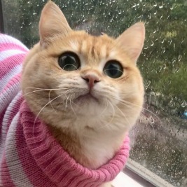 Keiti