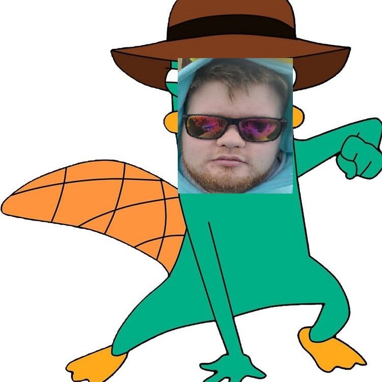 Paddo_