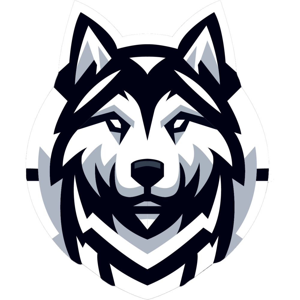 HUSK.GG Academy OLD
