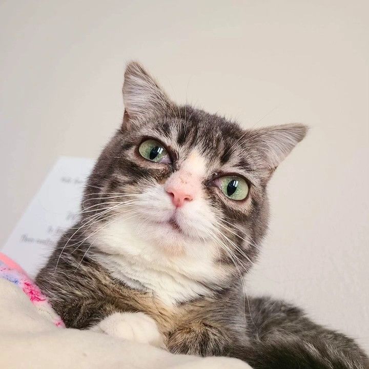 Winky