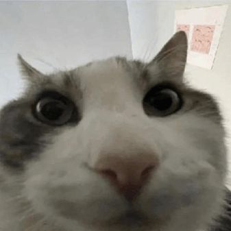 CrackMaik