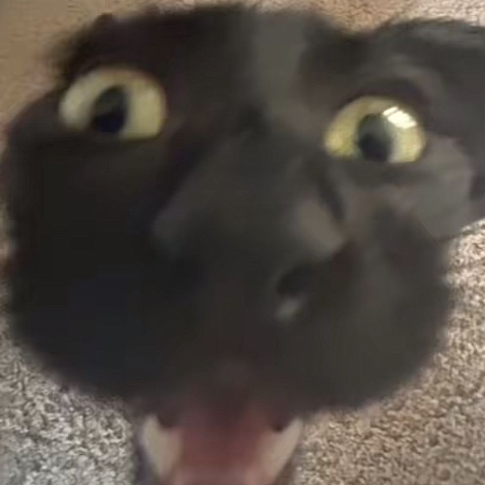Szczyp1orr