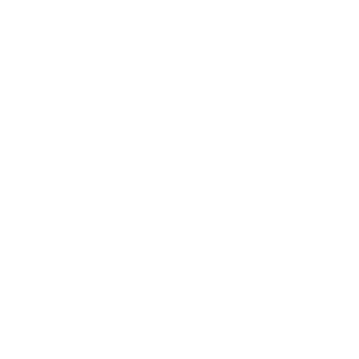 BIG Academy