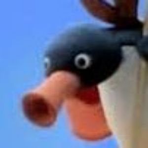 PinguPeek