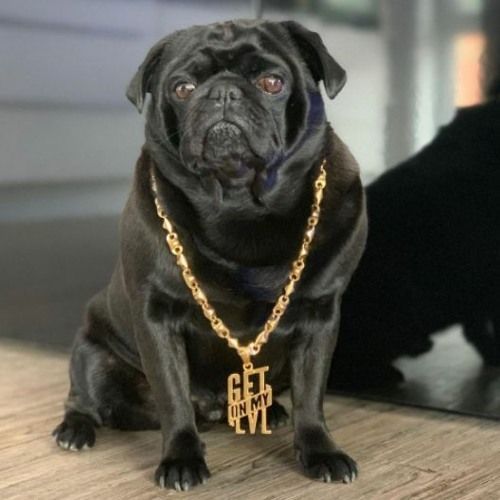 ein-feinii