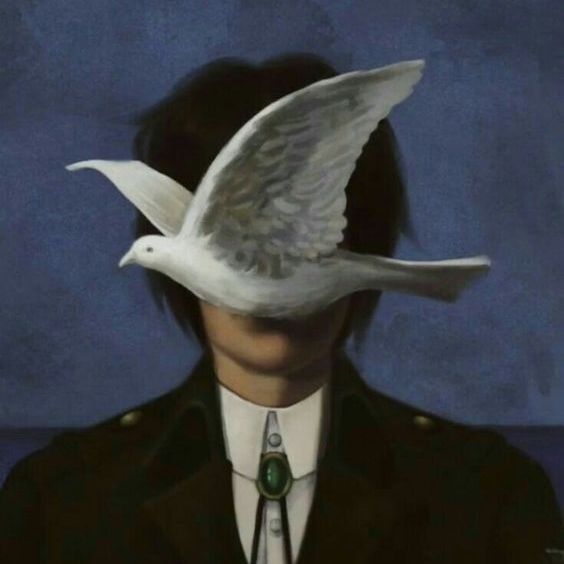 Echo