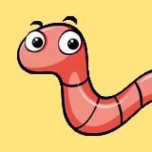 Ringelwurm