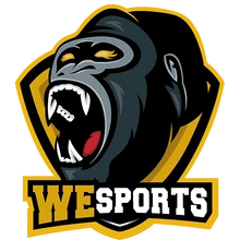 WeSports Academy
