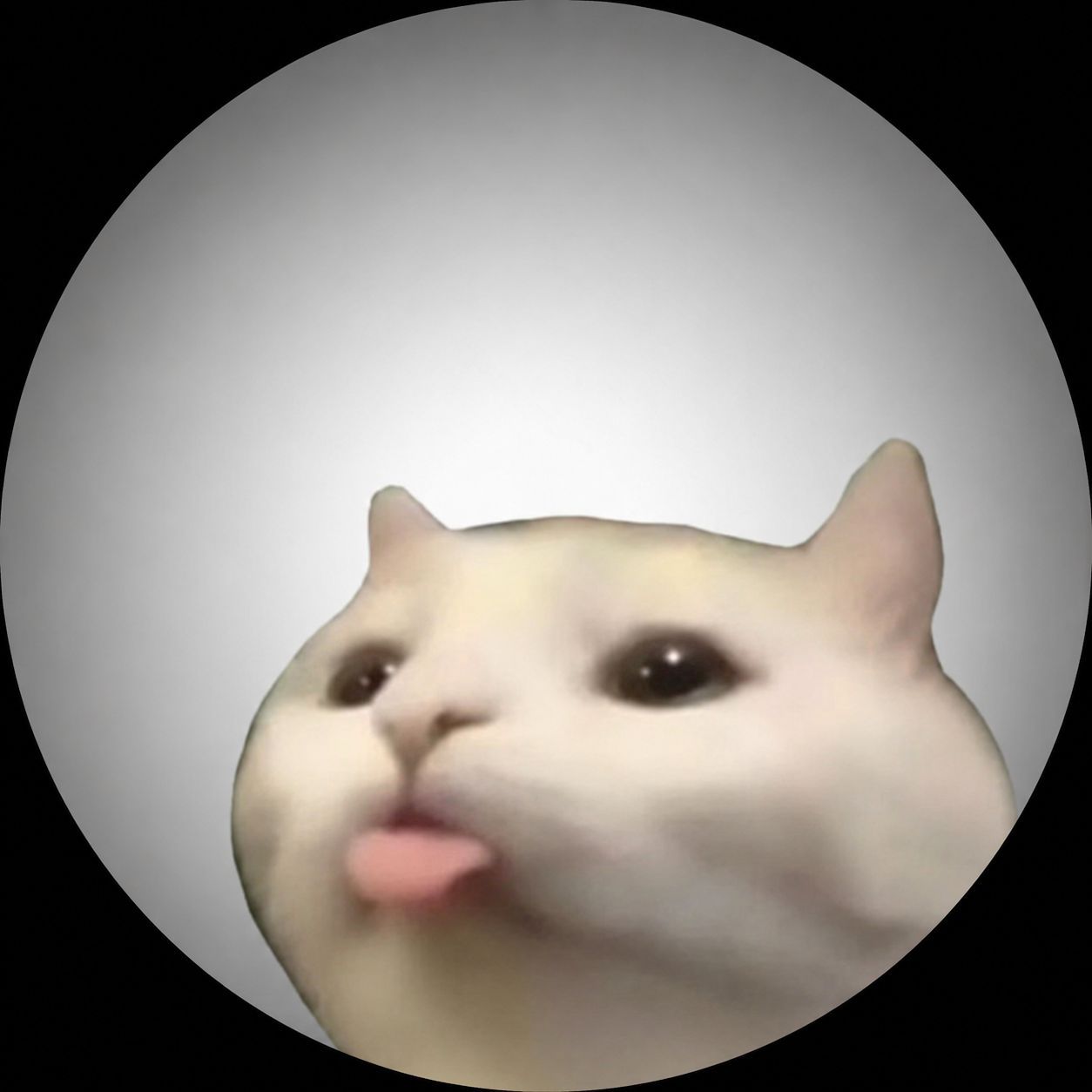 zKnGShadow