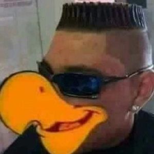 leozik4_