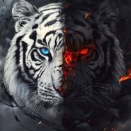 KreuS-
