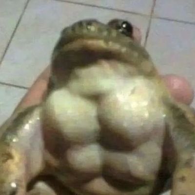 Gnuj__