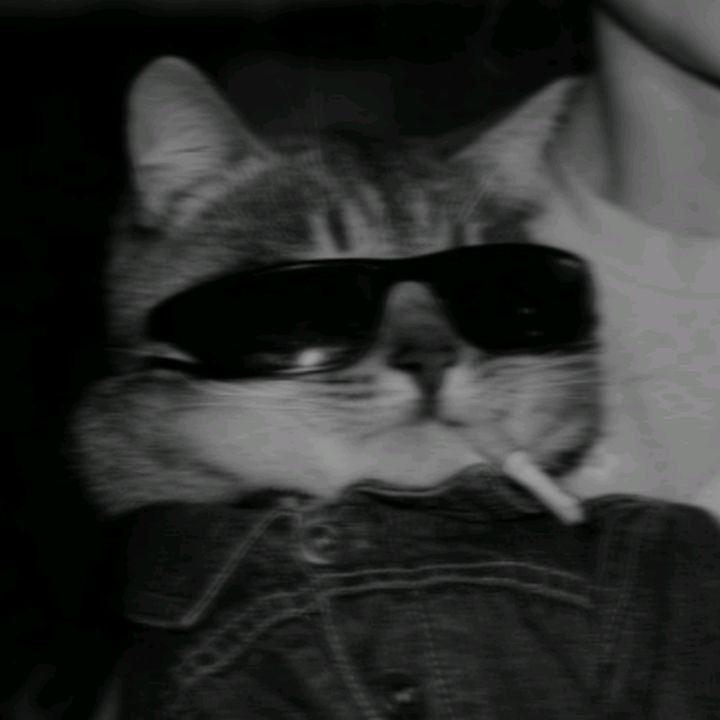 badsusss