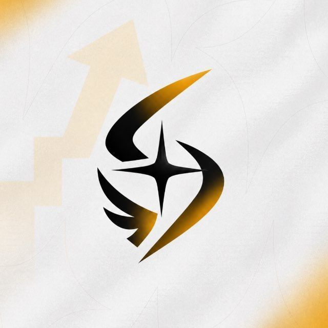 StellSight FlyUP