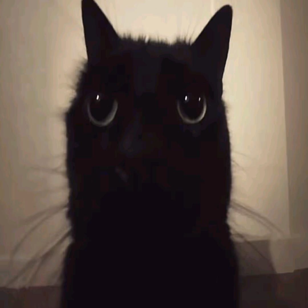Mr_Sorry