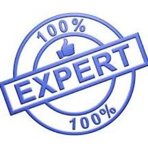 Expert231